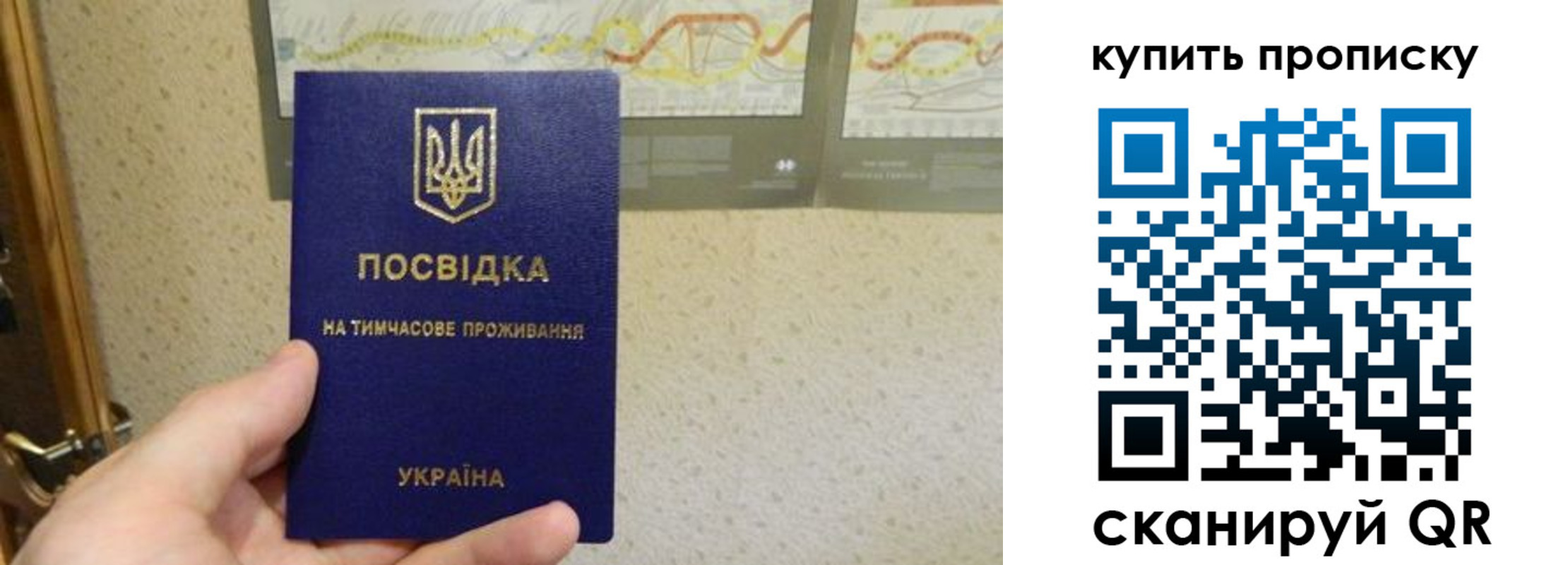 временная регистрация поиск в Курчалом